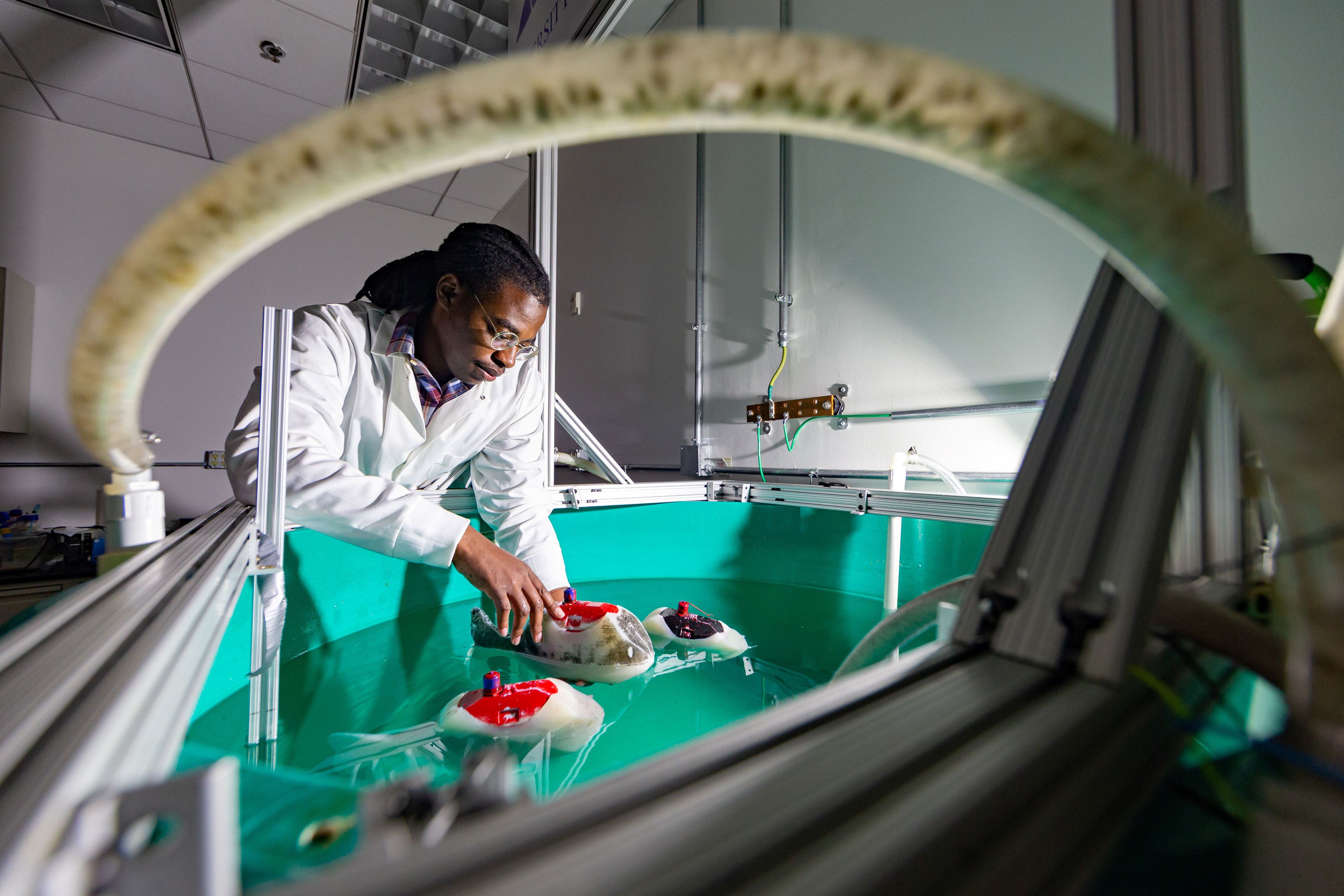 Artificial Intelligence Interdisciplinary Institute at Maryland. Scientist working.