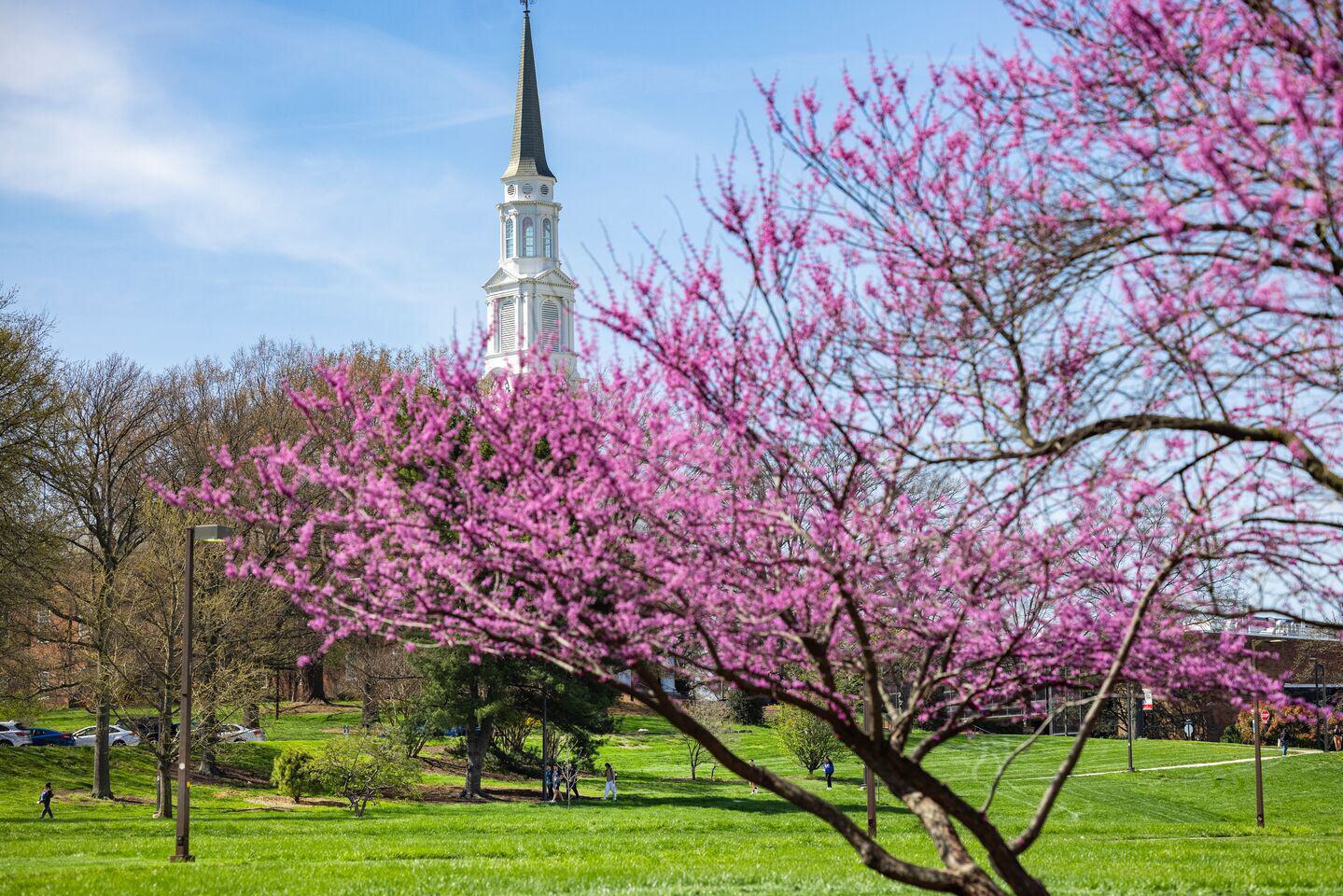 Memorial Chapel Spring