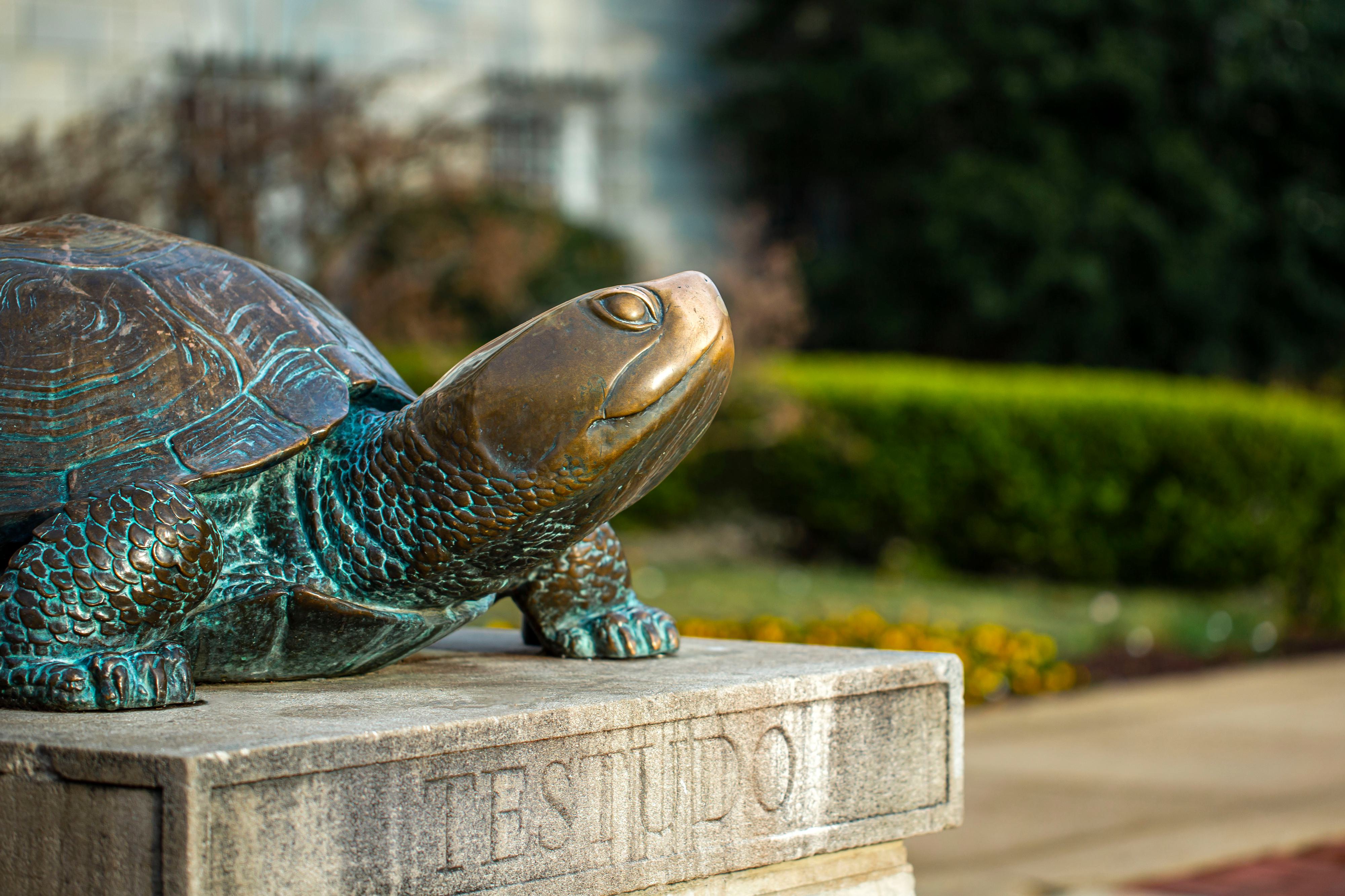 Testudo Statute Facing Right