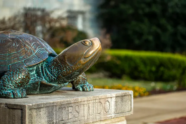 Testudo Statute Facing Right
