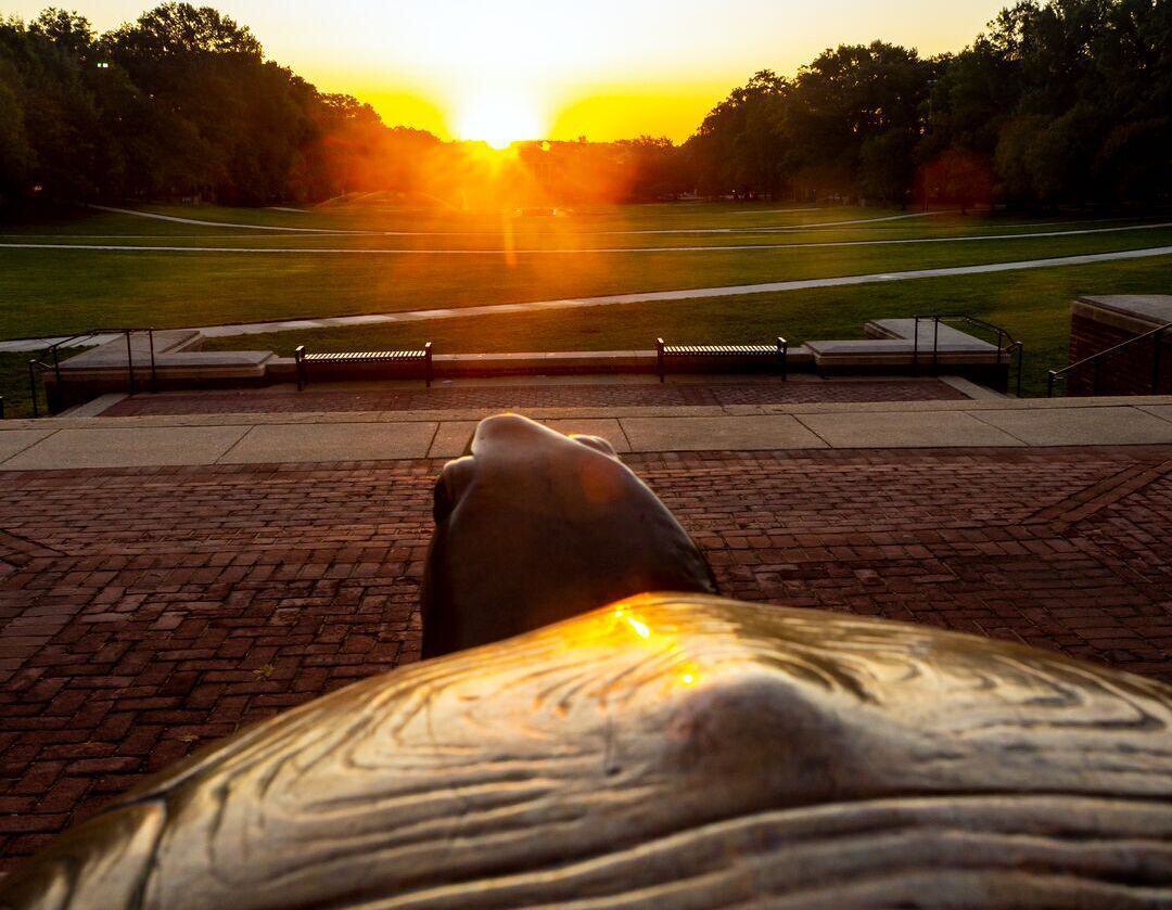Testudo Sunrise