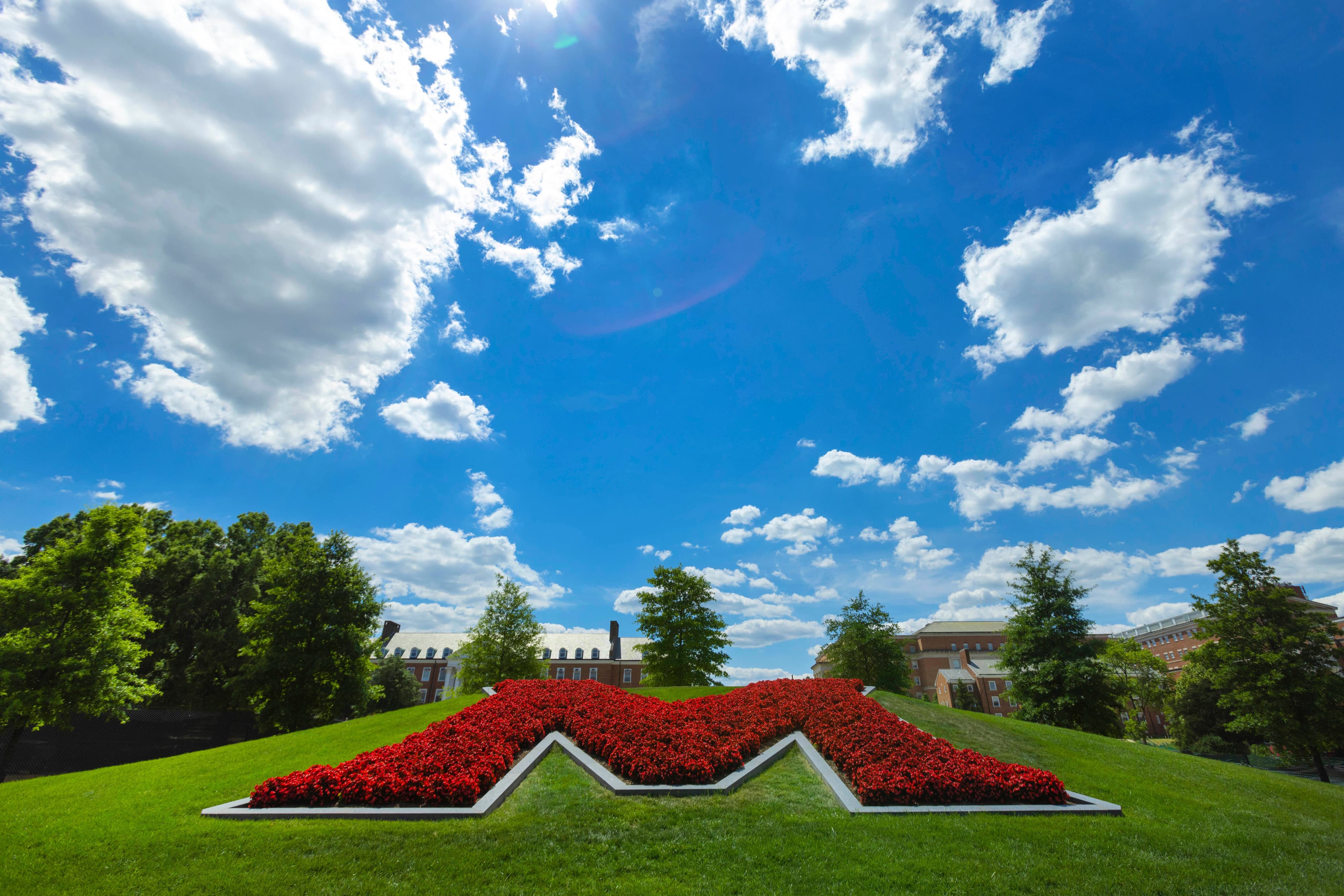 Flowerbed in the shape of an "M" with red flowers.