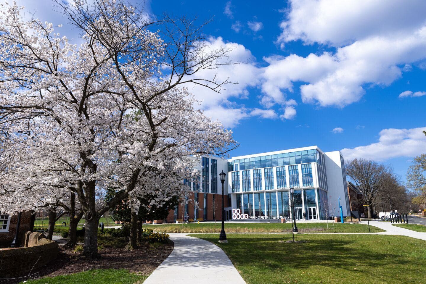Thurgood Marshall Hall Cherry Blossoms
