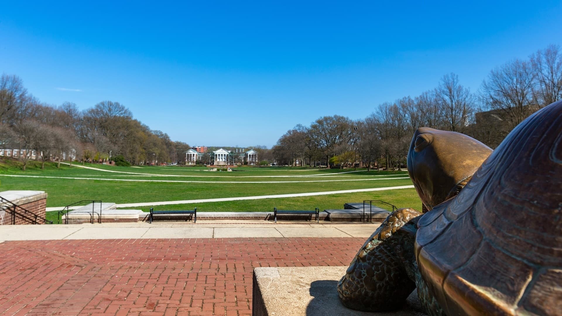 A weathered bronze statue of testudo, nose polished by eager students looking for a bit of good luck looks to a bright blue sky over a lush green field of McKeldin Mall