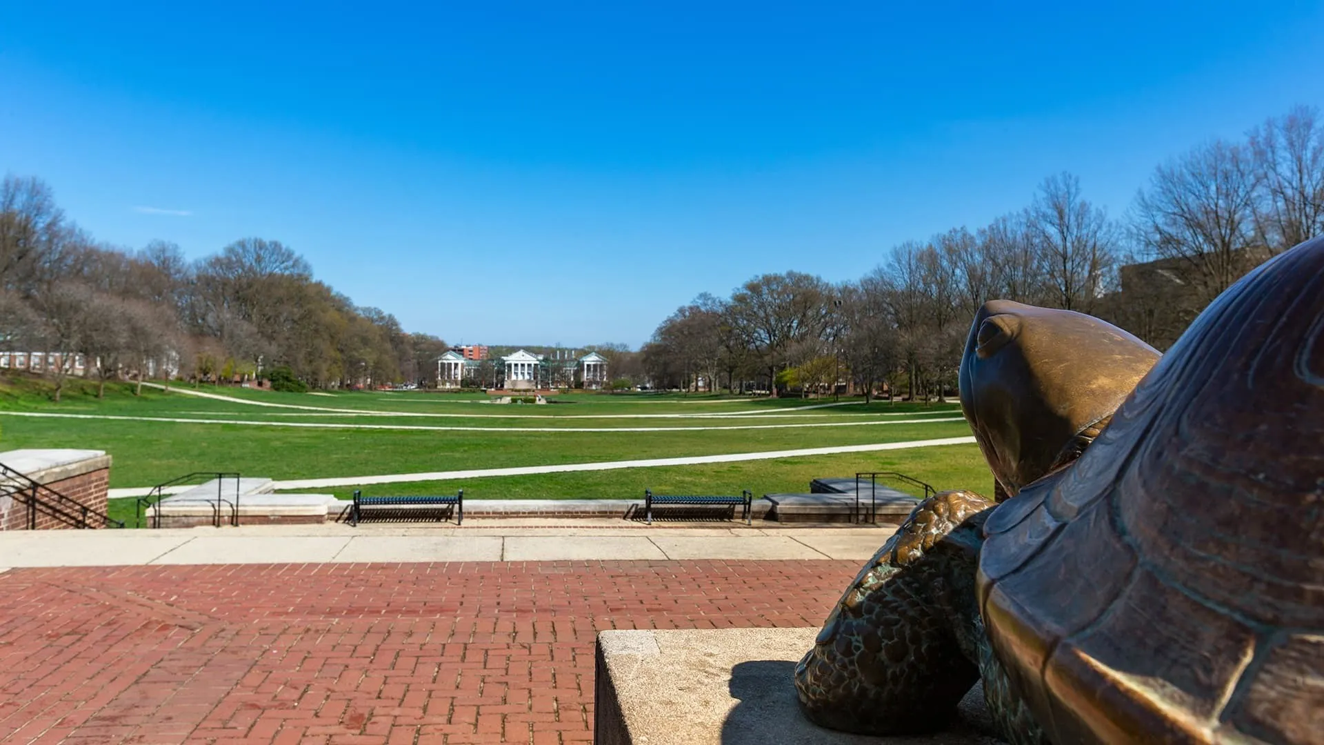 A weathered bronze statue of testudo, nose polished by eager students looking for a bit of good luck looks to a bright blue sky over a lush green field of McKeldin Mall